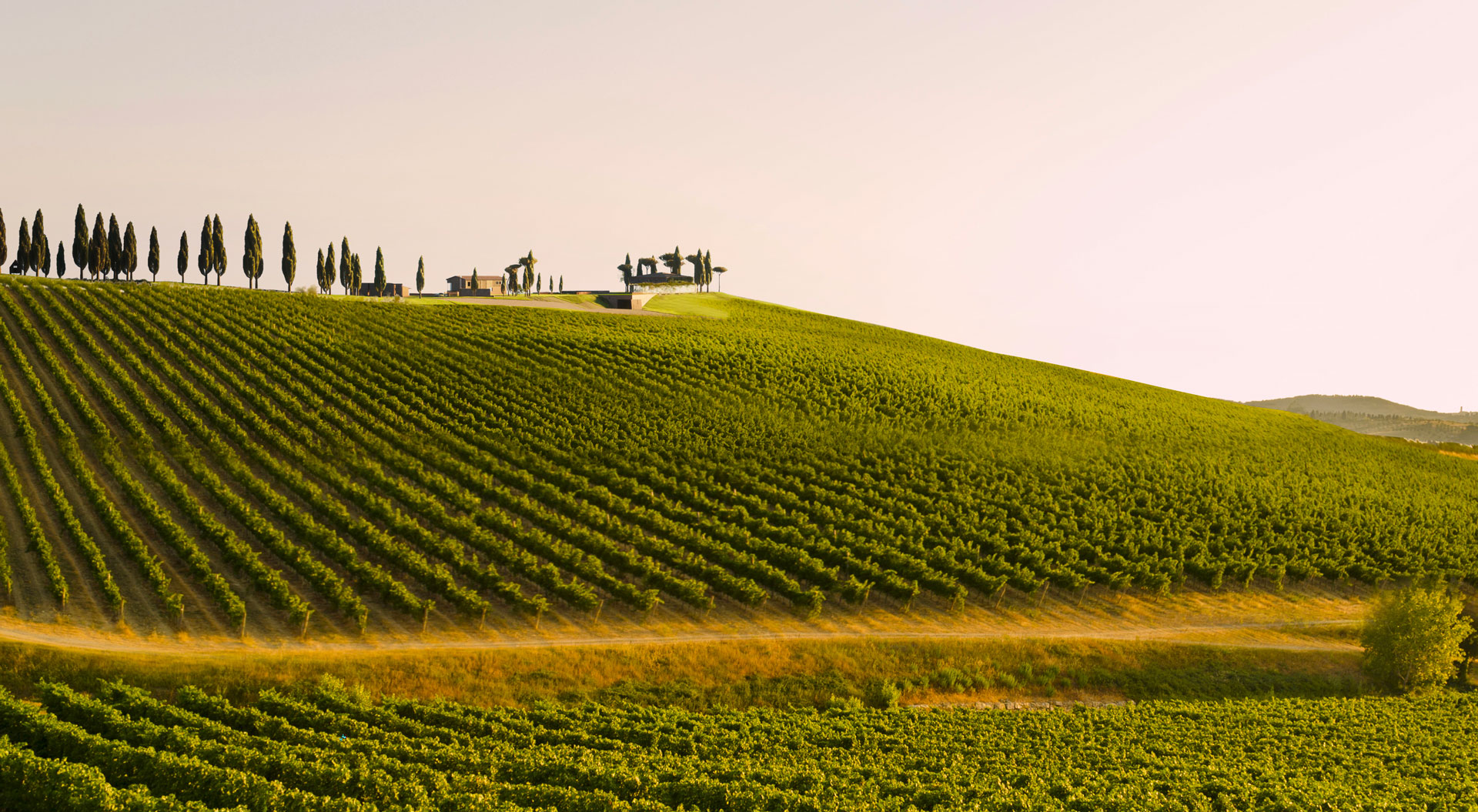 Podere il Salto